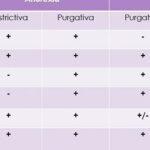 Anorexia y Anorexia Nerviosa: Diferencia Anorexia y Bulimia, Diferencias entre Bulimia y Anorexia