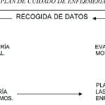 Brote Psicótico por Ansiedad: ¿Cómo Saber Si Es Real?