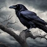 ¿Cuáles son las 15 mejores citas amargas de Edgar Allan Poe?