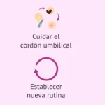 ¿Cuáles son 15 consejos esenciales para mejorar la maternidad?