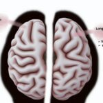 Impacto del alcohol: 9 efectos a corto y largo plazo en el cerebro