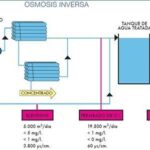 Potencial biótico revelado: su papel en la evolución biológica